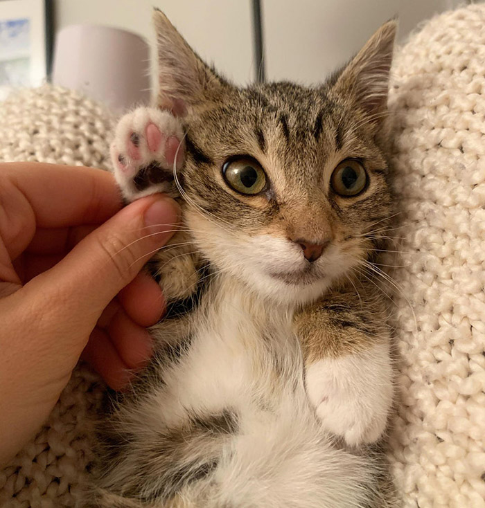 Raise your hand if you did your best today