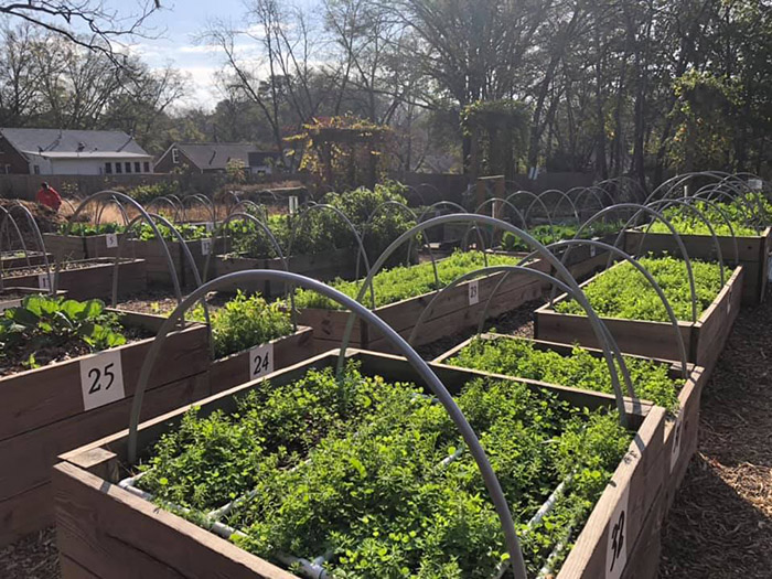 atlanta food forest