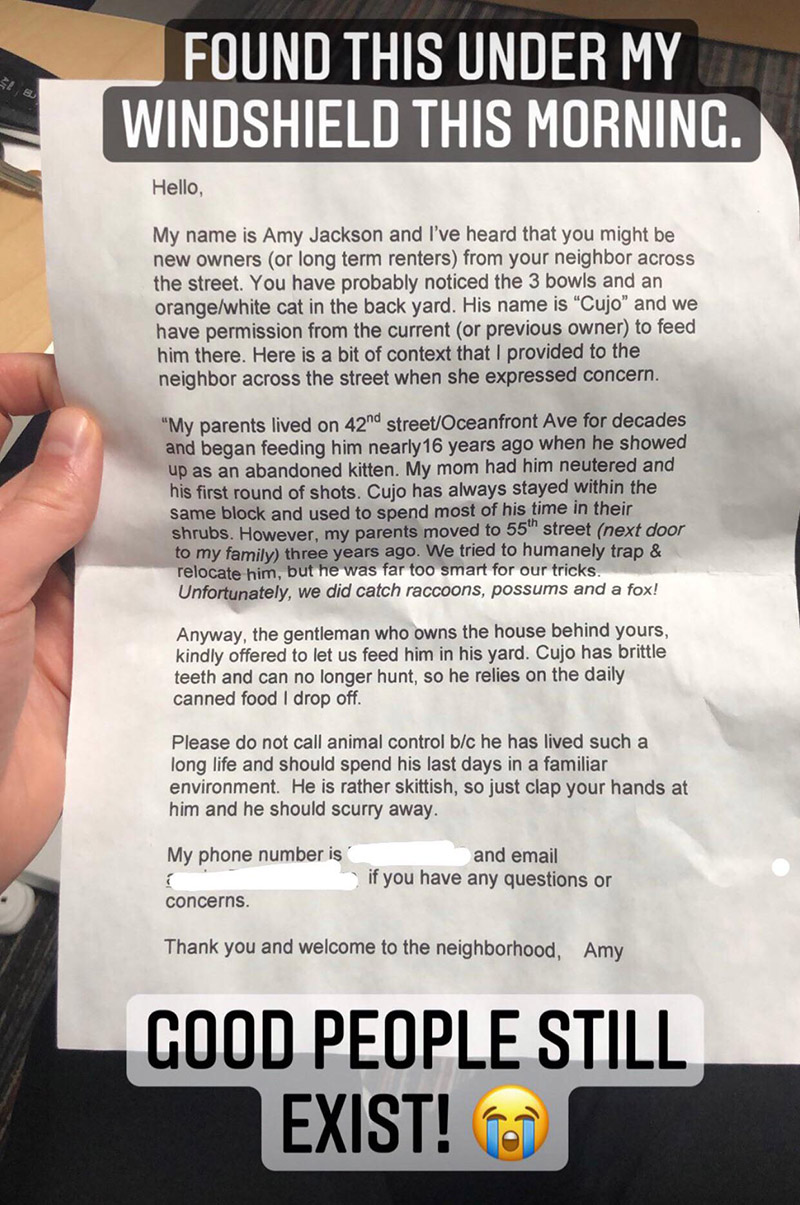 couple finds note on car about stray cat