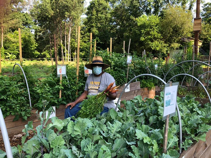 atlanta food forest