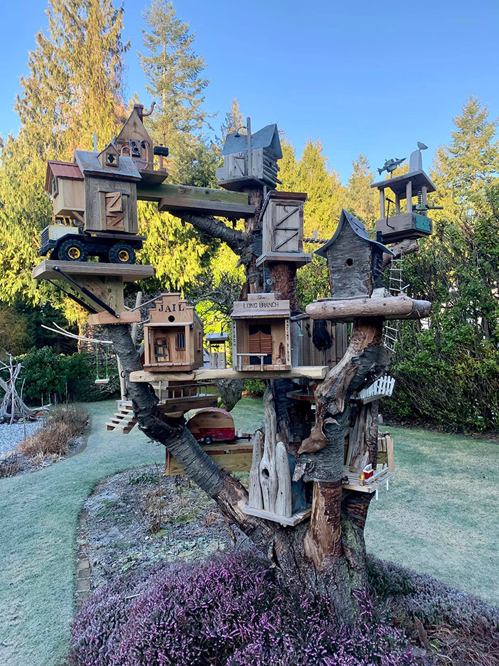 amazing bird house