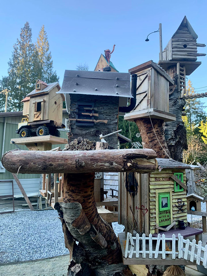 amazing bird house