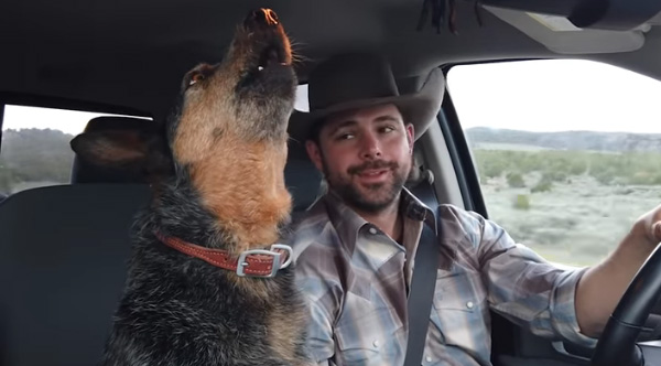 Dog Sings Along To Country Music