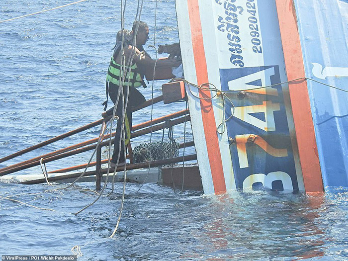 sailors rescue cats sinking ship