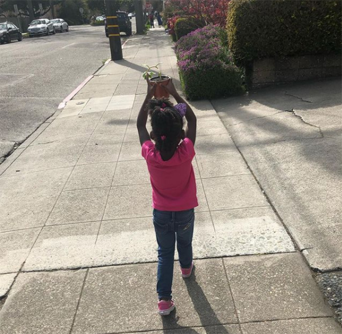 little girl takes plant for walks in sun