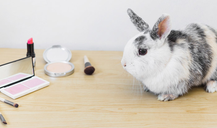 Virginia bans animal testing cosmetics