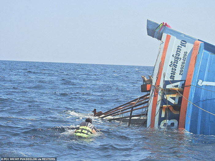 sailors rescue cats sinking ship