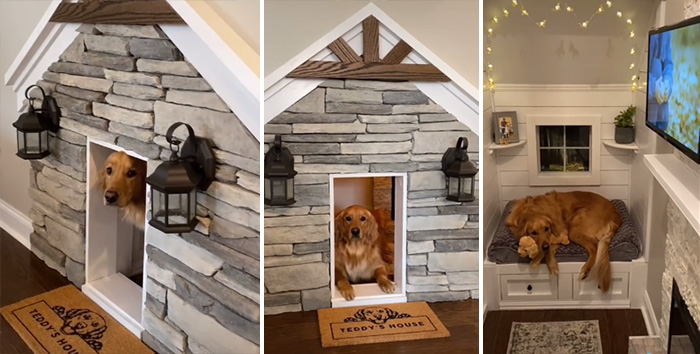 amazing dog house in wall