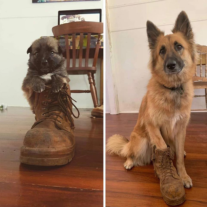 Three years apart, same boot