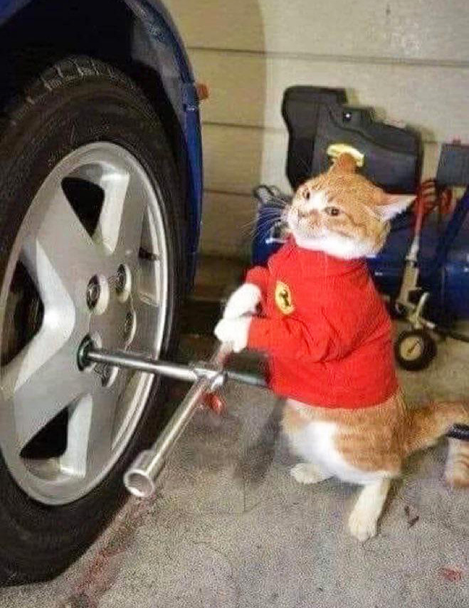 cat mechanic