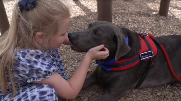 dog comforts at funeral