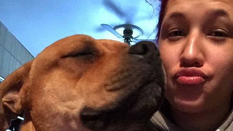 woman reunited with missing dog 2 years