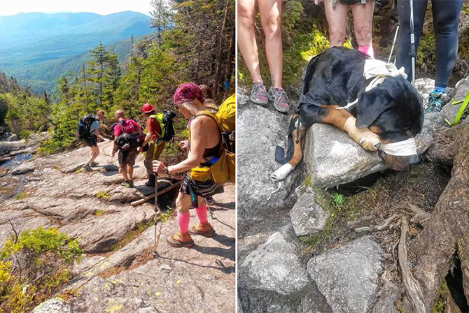 strangers carry dog down mountain