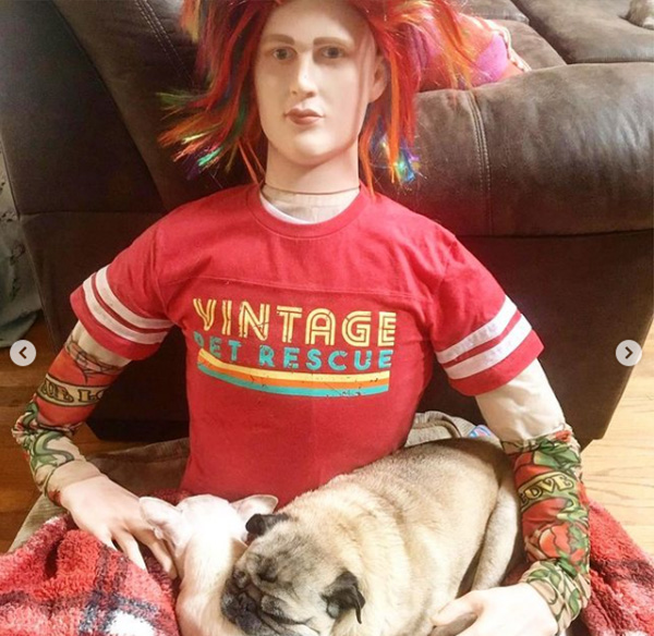 vintage pet rescue mannequin