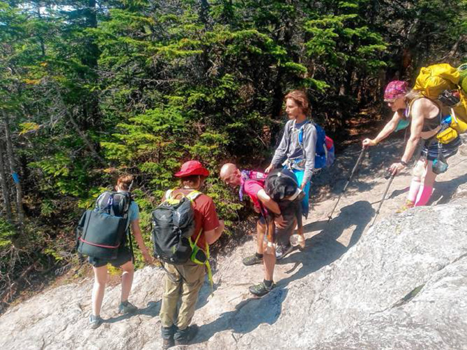 strangers carry dog down mountain