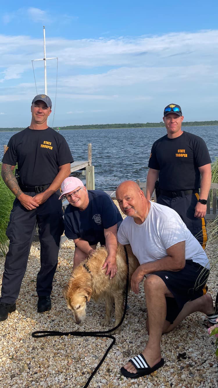 missing dog found swimming in bay