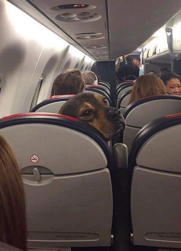 Hey, can you stop kicking my seat?