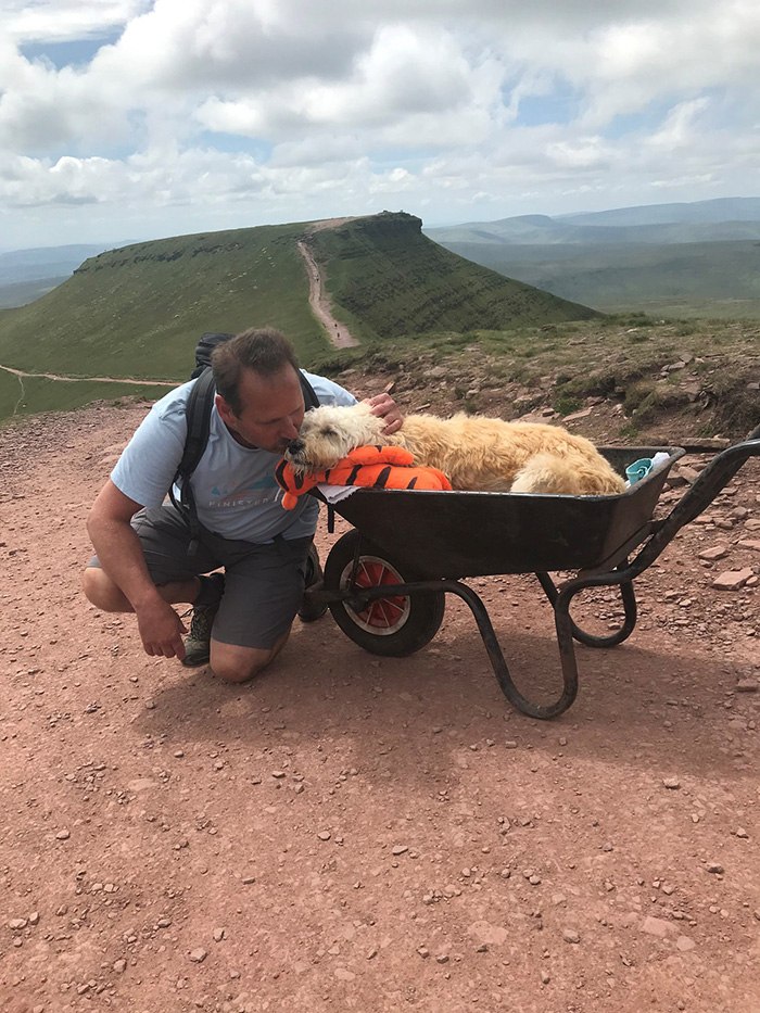 man takes dog on final trip