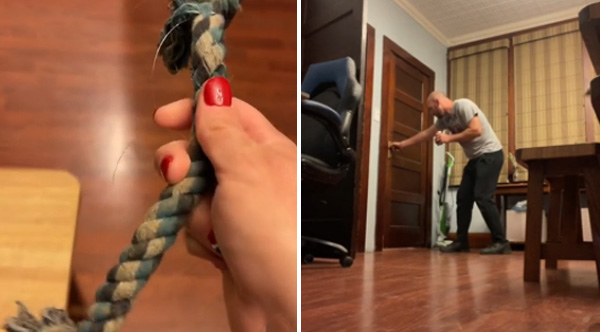 OMG! It Worked!' Wife Pranks Husband With Fake Snake In The Bathroom