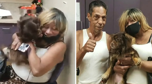 family reunited with dog after seeing dog on TV