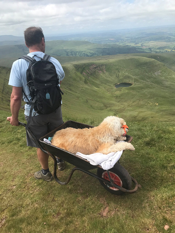 man takes dog on final trip