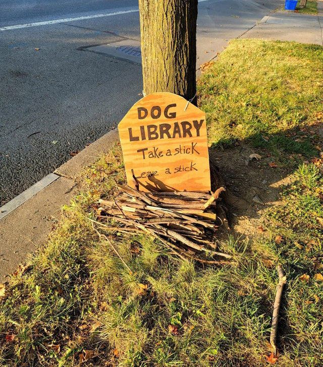 dog library take a stick
