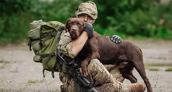 PAWS service dogs veterans