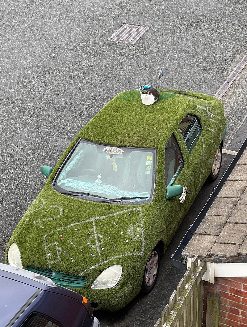 cat on astro turf car