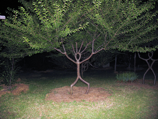 tree chair