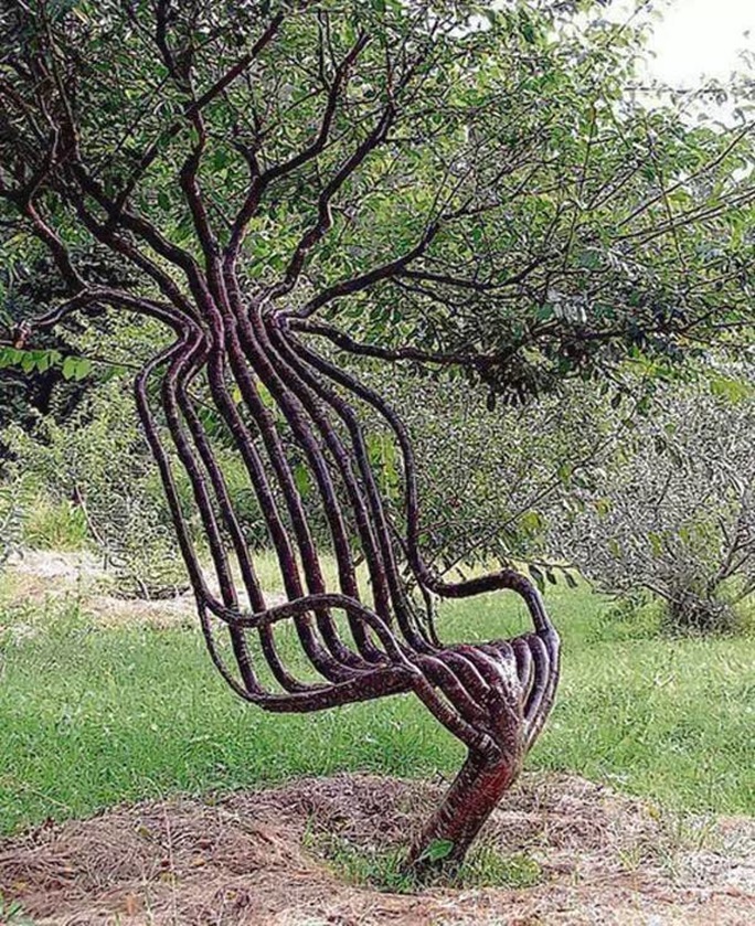 tree chair