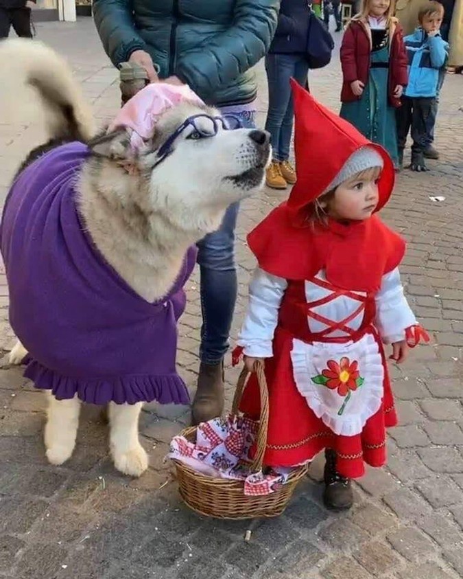 grandma dog red riding hood girl