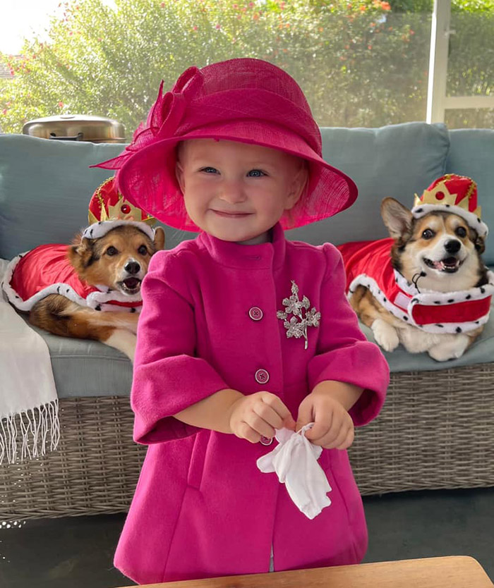 the queen little girl halloween costume with dogs