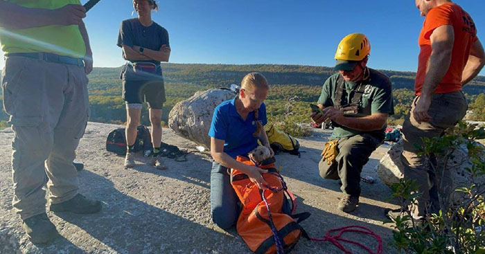 dog rescued from 20-foot crevice