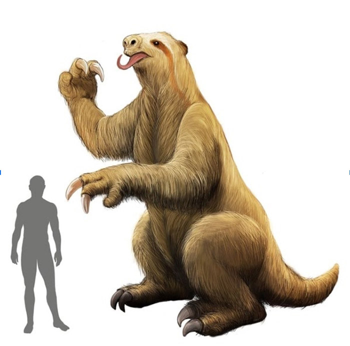 giant sloth