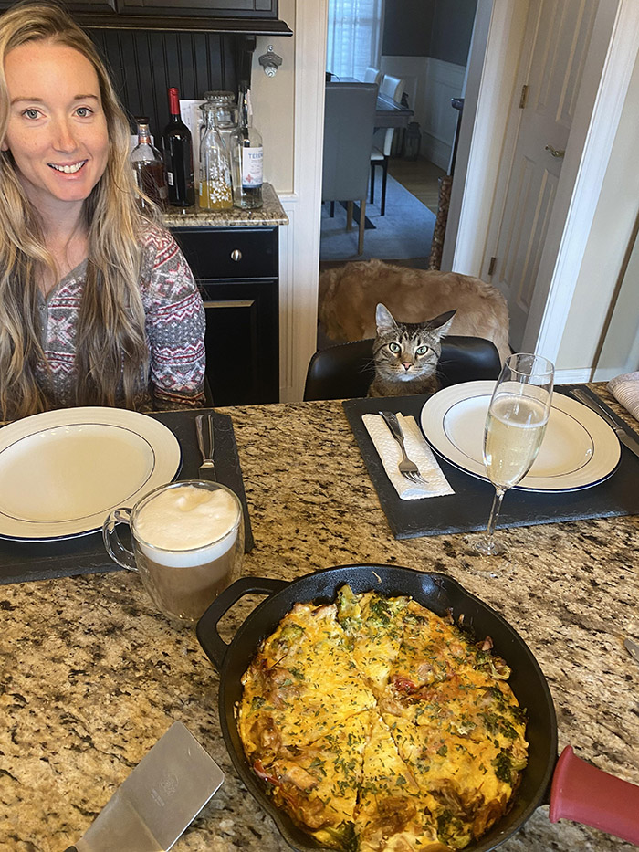 cooked wife and cat breakfast