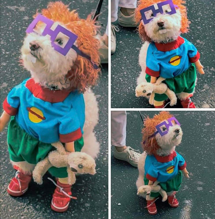 dog chucky from rugrats