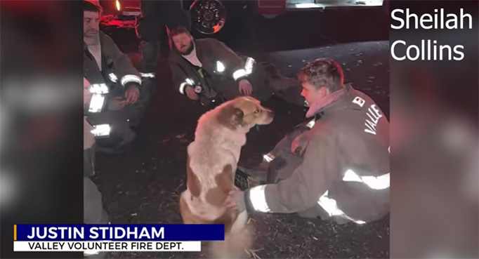 dog rescues family from fire