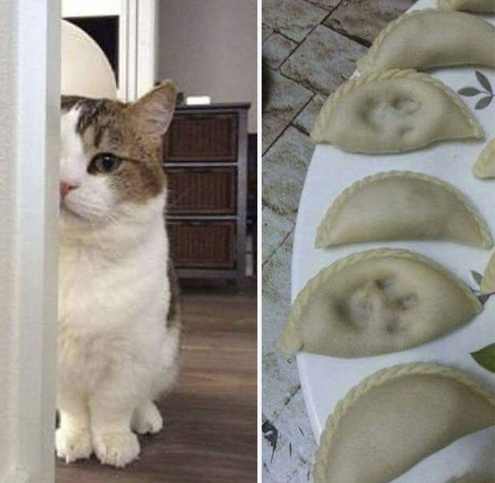 lsov1-empawnadas.jpg