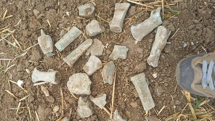 teen girl finds ancient axes metal detector