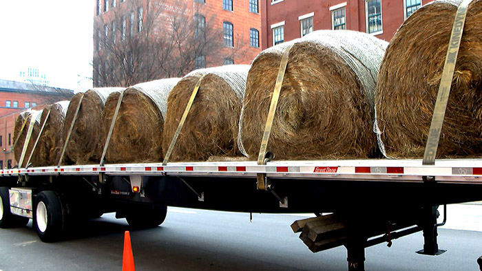 hay donated to farmers