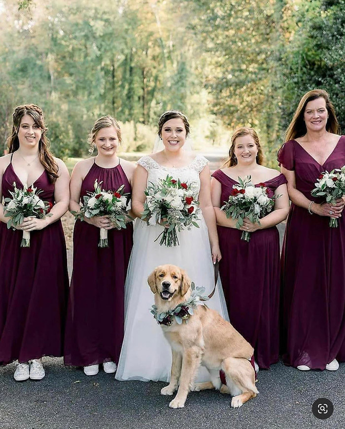 dog in wedding party