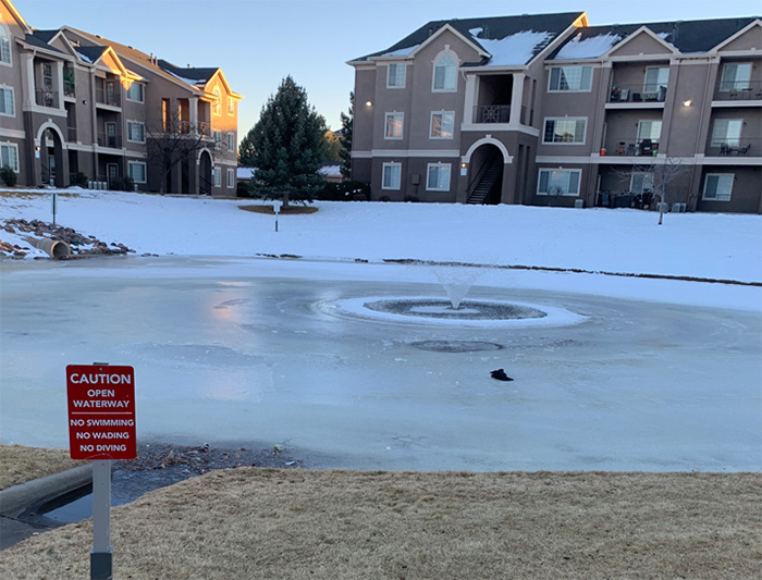 woman saves kids from icy pond