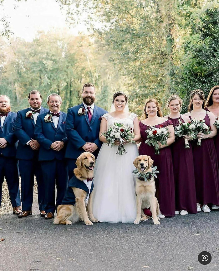 dog in wedding party