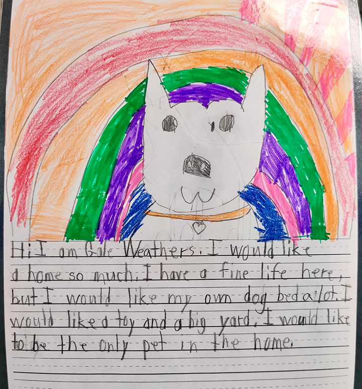 kids write letters from animals at shelter