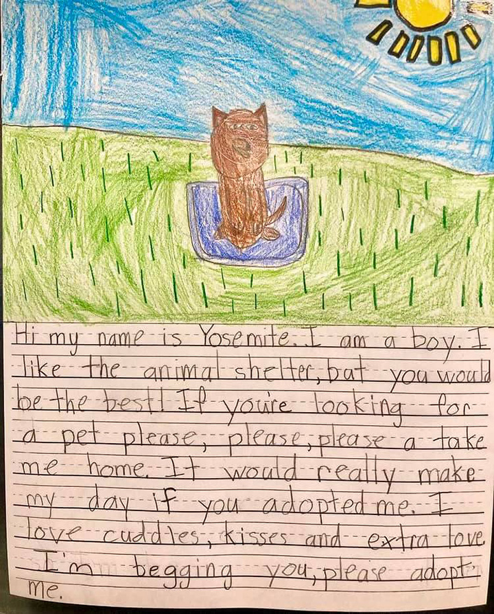 kids write letters from animals at shelter