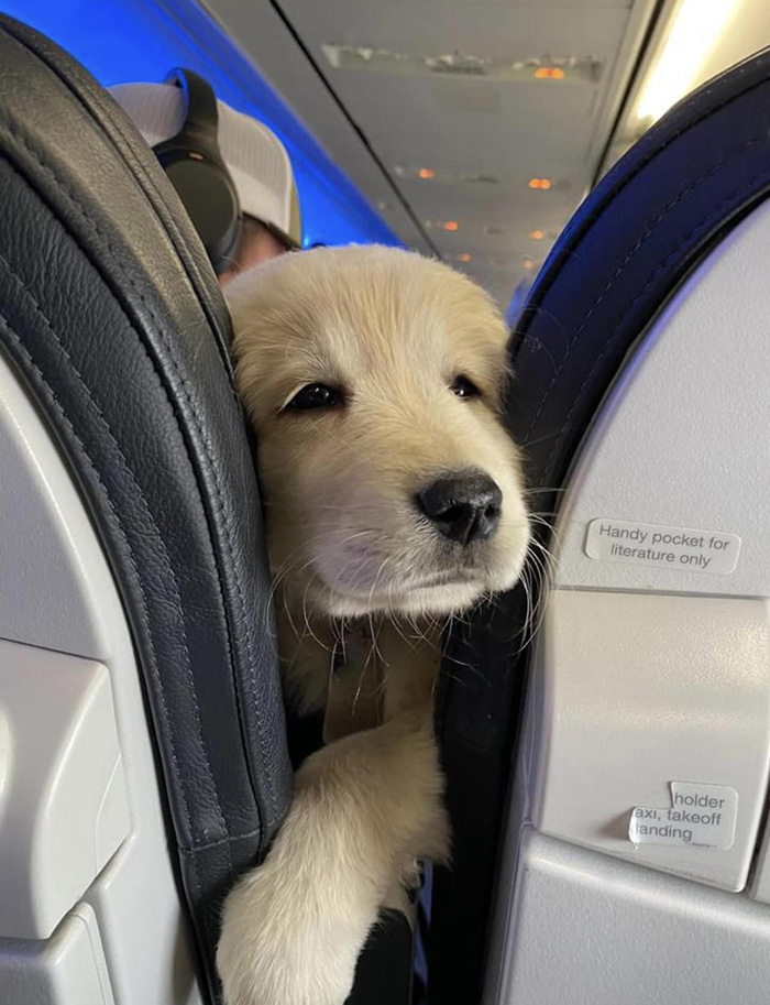 cutest traveler ever