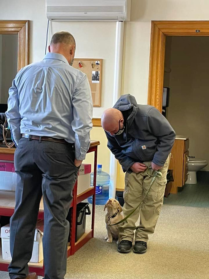 Holiday courthouse therapy dog