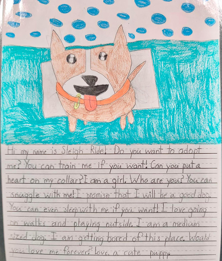 kids write letters from animals at shelter