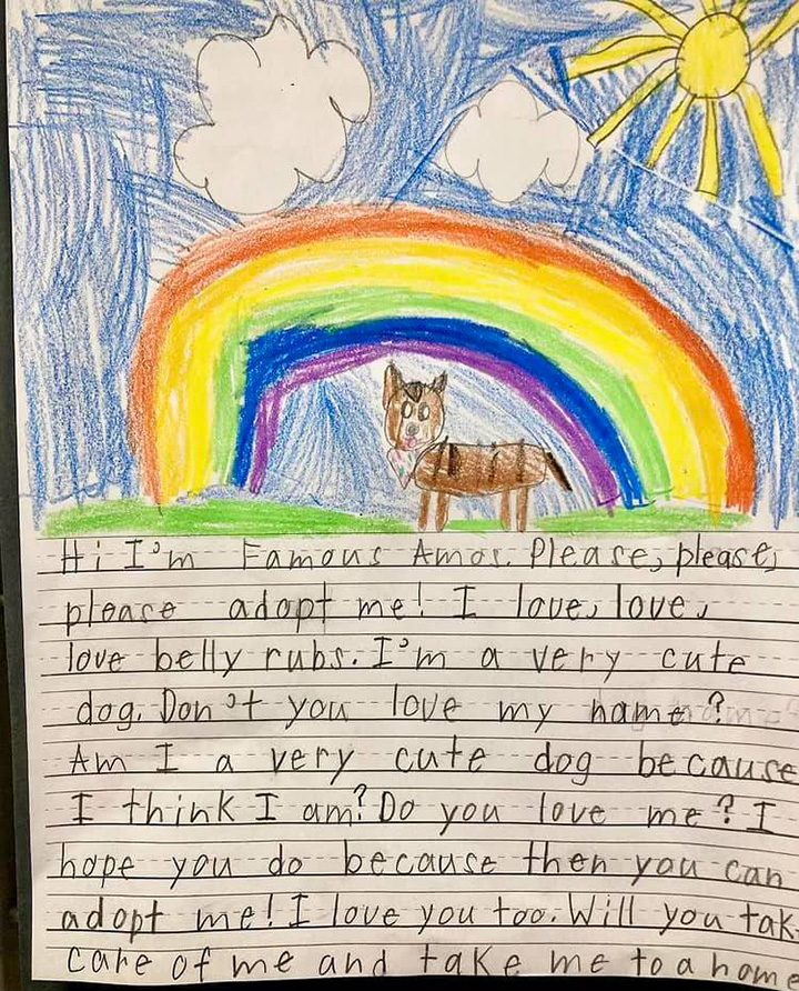 kids write letters from animals at shelter