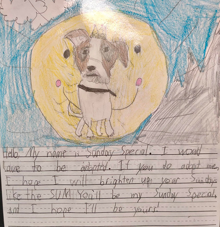 kids write letters from animals at shelter